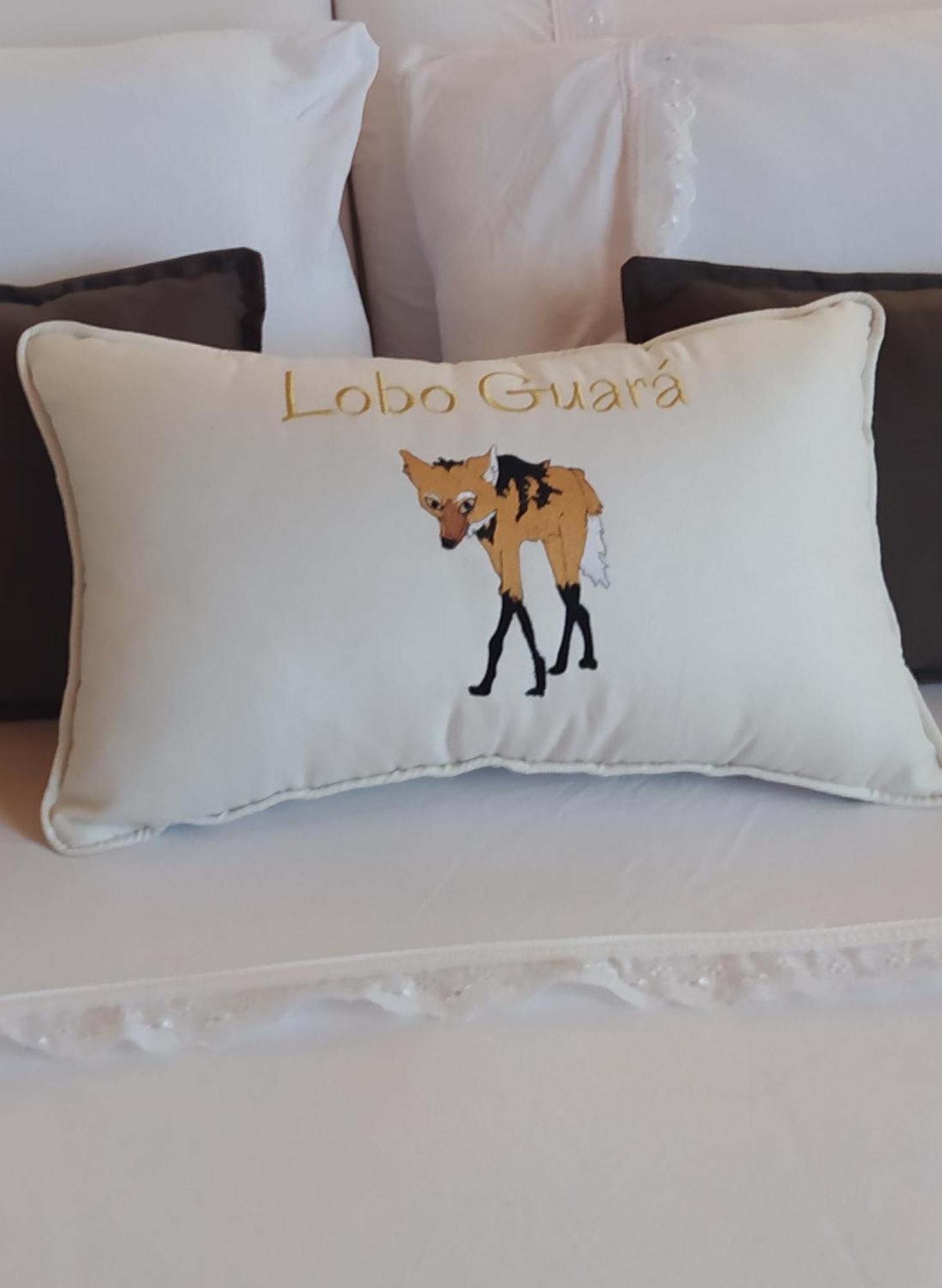 Lobo Guara Hospedagem Loft Alto Paraíso de Goiás Eksteriør billede